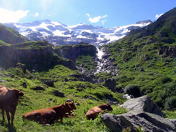 Le gnpy : le glacier et le torrent