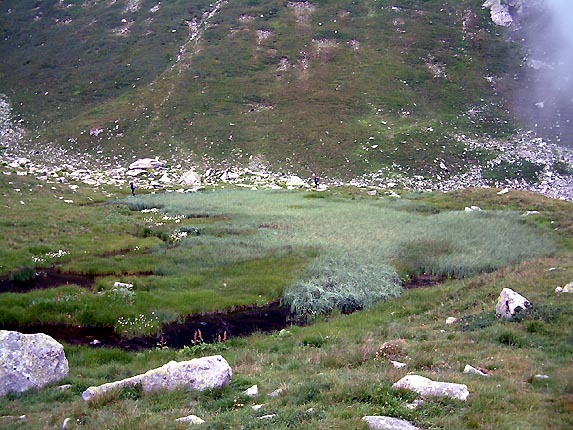 Petit lac