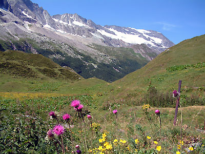 Pointe des volnets