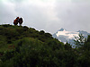 Vaches tte-bche sur fond de glacier de Gbroulaz