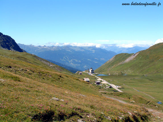 Ancien hospice du col du saint bernard, la chanoussia, jardin alpin